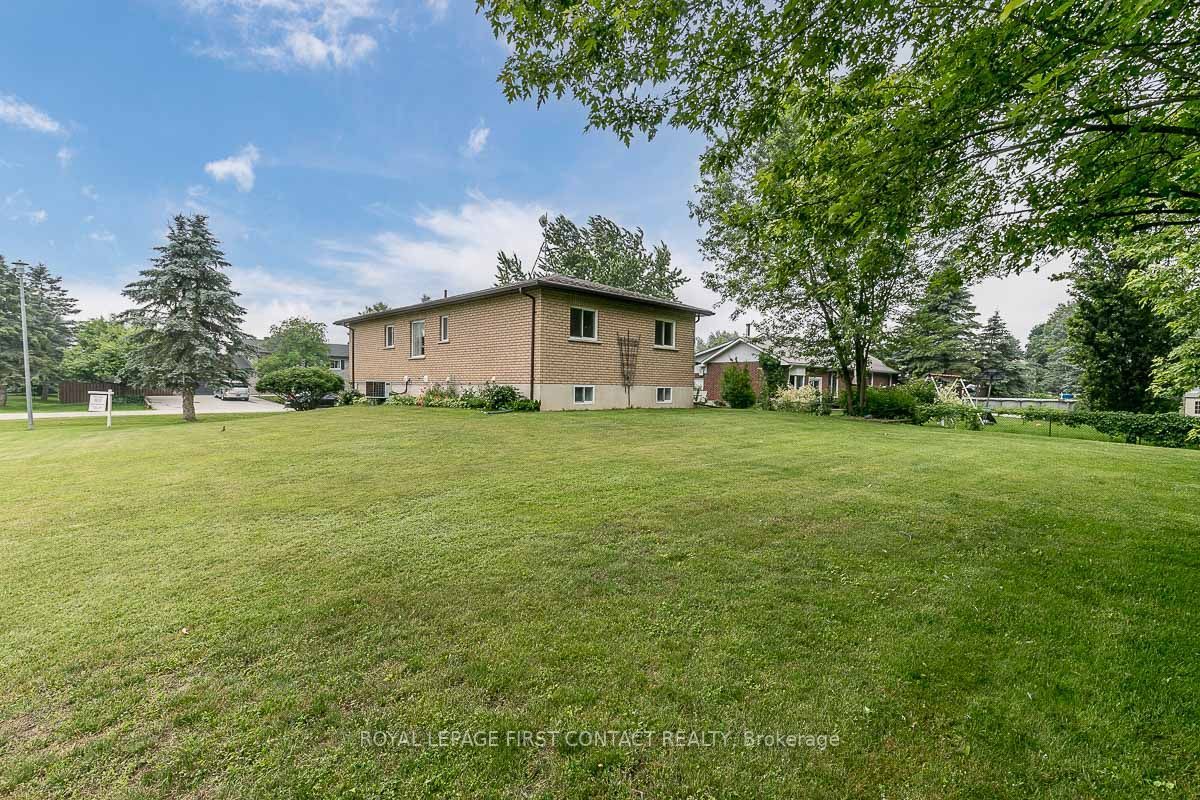 55 Marshall Cres