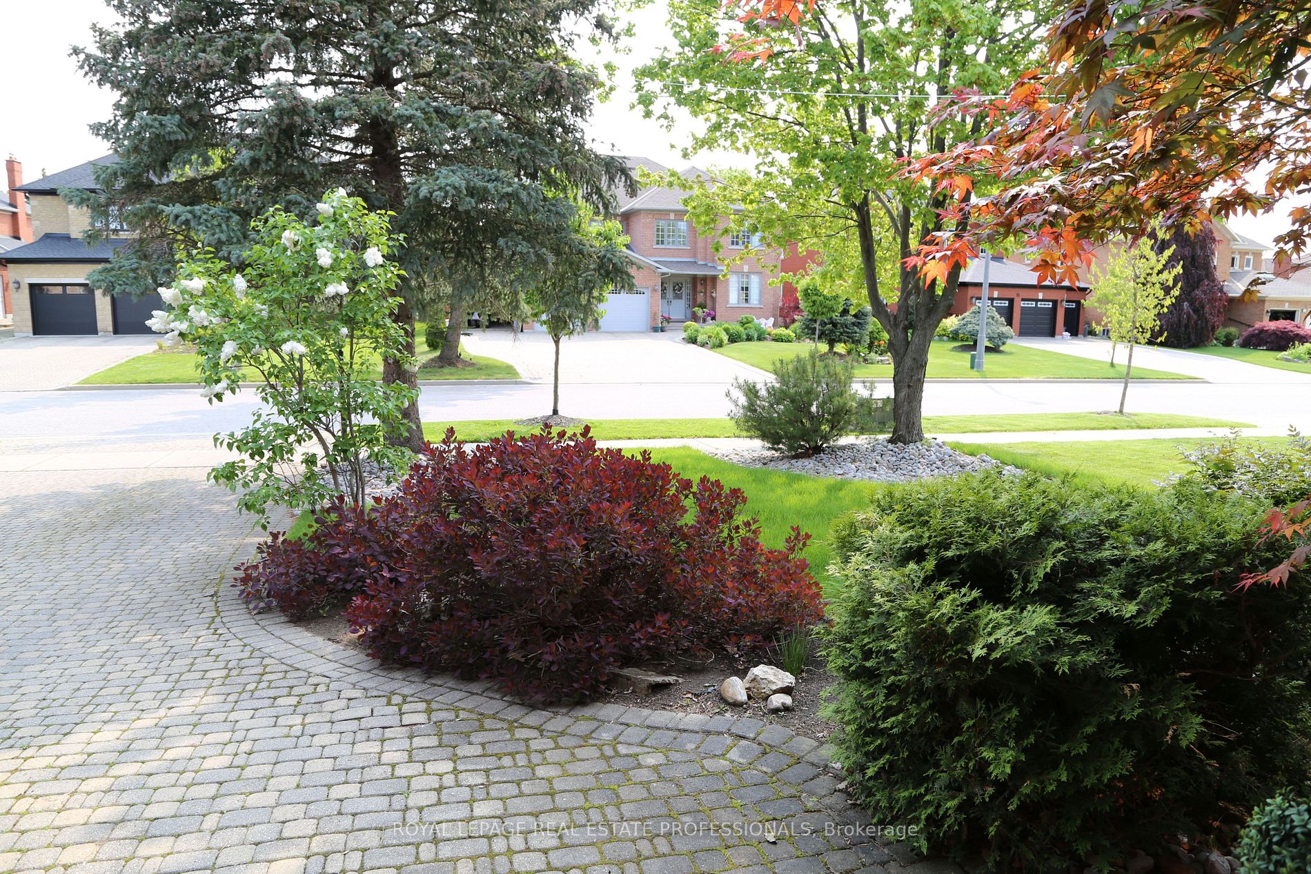 42 Woolacott Rd