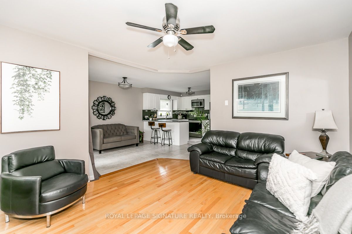 84 Elmwood Ave