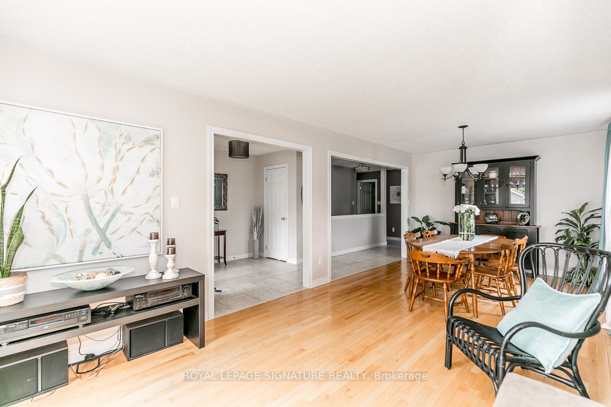 84 Elmwood Ave