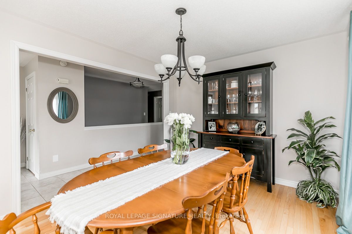 84 Elmwood Ave