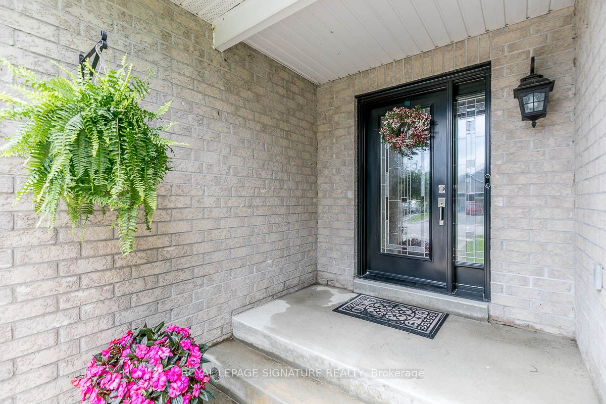 84 Elmwood Ave