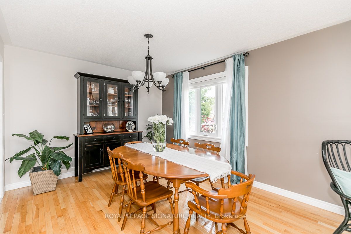 84 Elmwood Ave