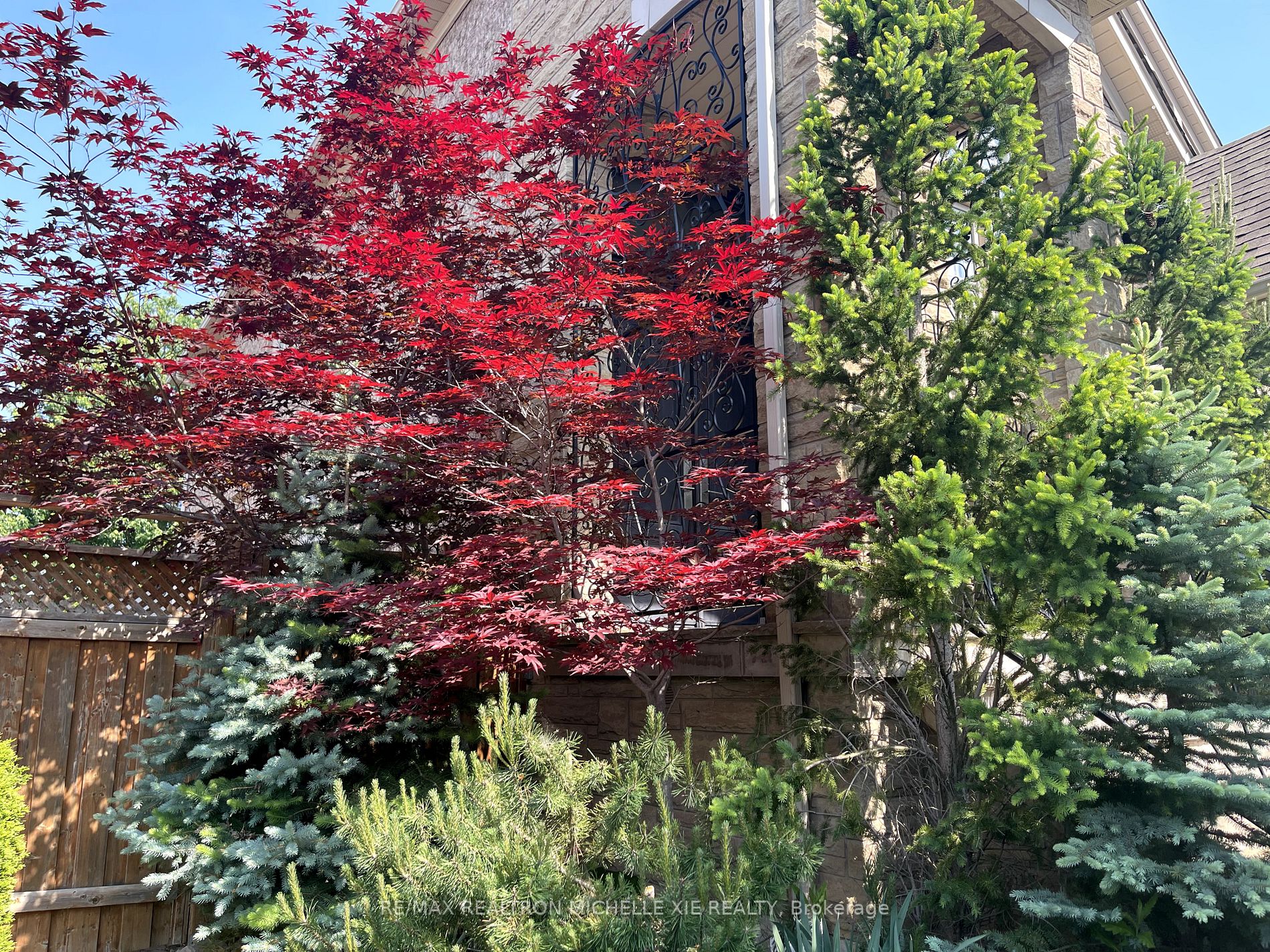 42 Dimarino Dr