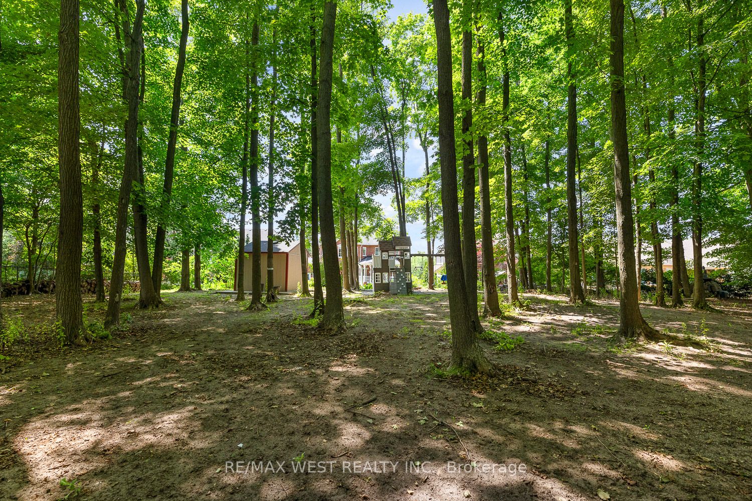 82 English Daisy Crt