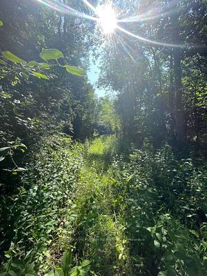 Listing N6657980 - Large Photo # 8
