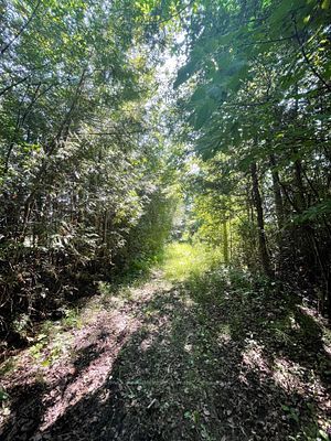 Listing N6657980 - Large Photo # 9