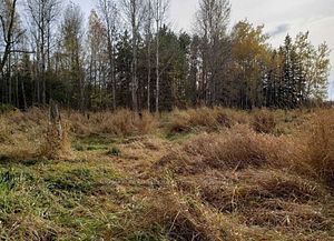 Listing N6657980 - Large Photo # 6