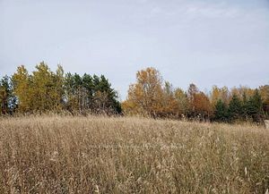 Listing N6657980 - Large Photo # 5