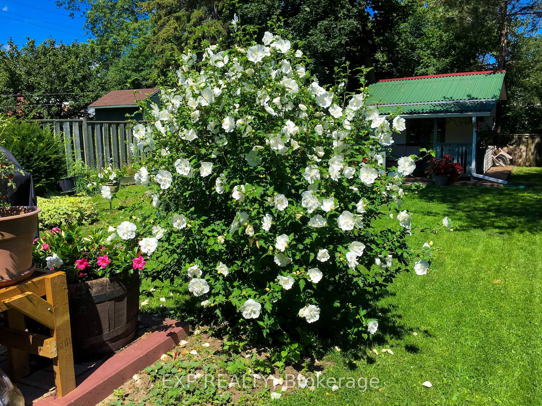 36 Glen Cameron Rd