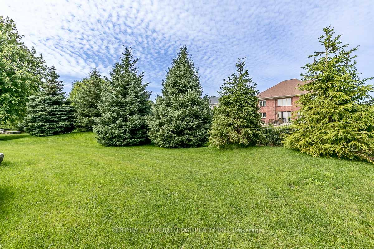 51 Country Club Cres