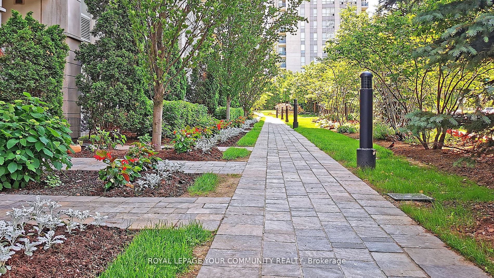 7 North Park Rd, #801