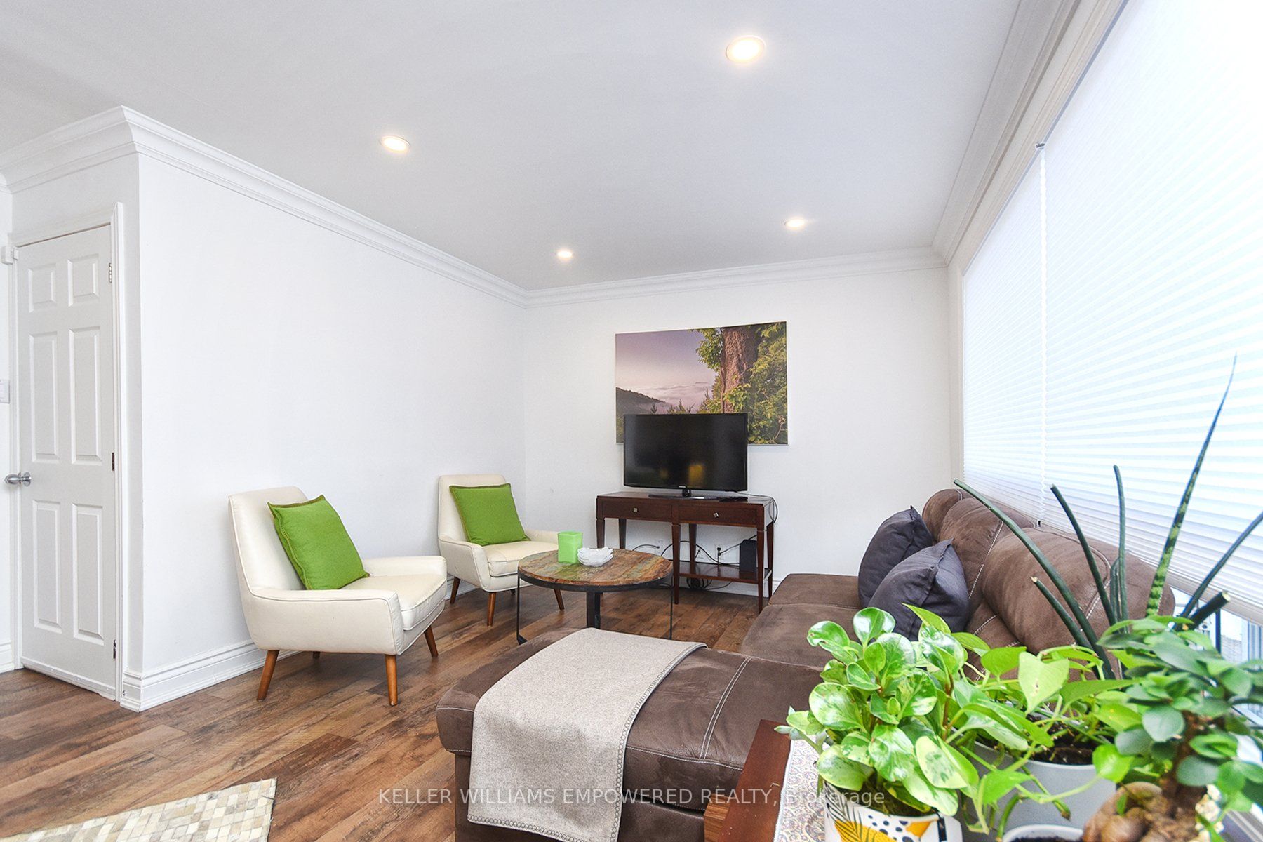 33 Patrick Drive