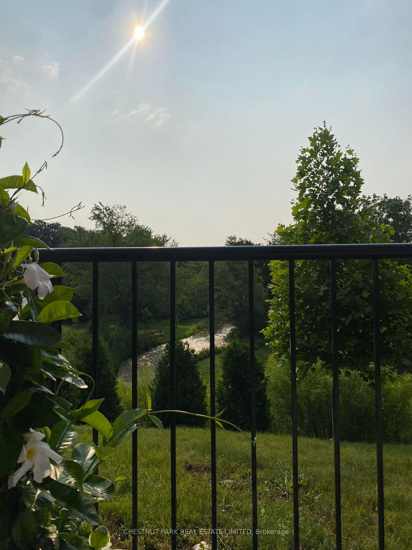 201 Pine Grove Rd, #417