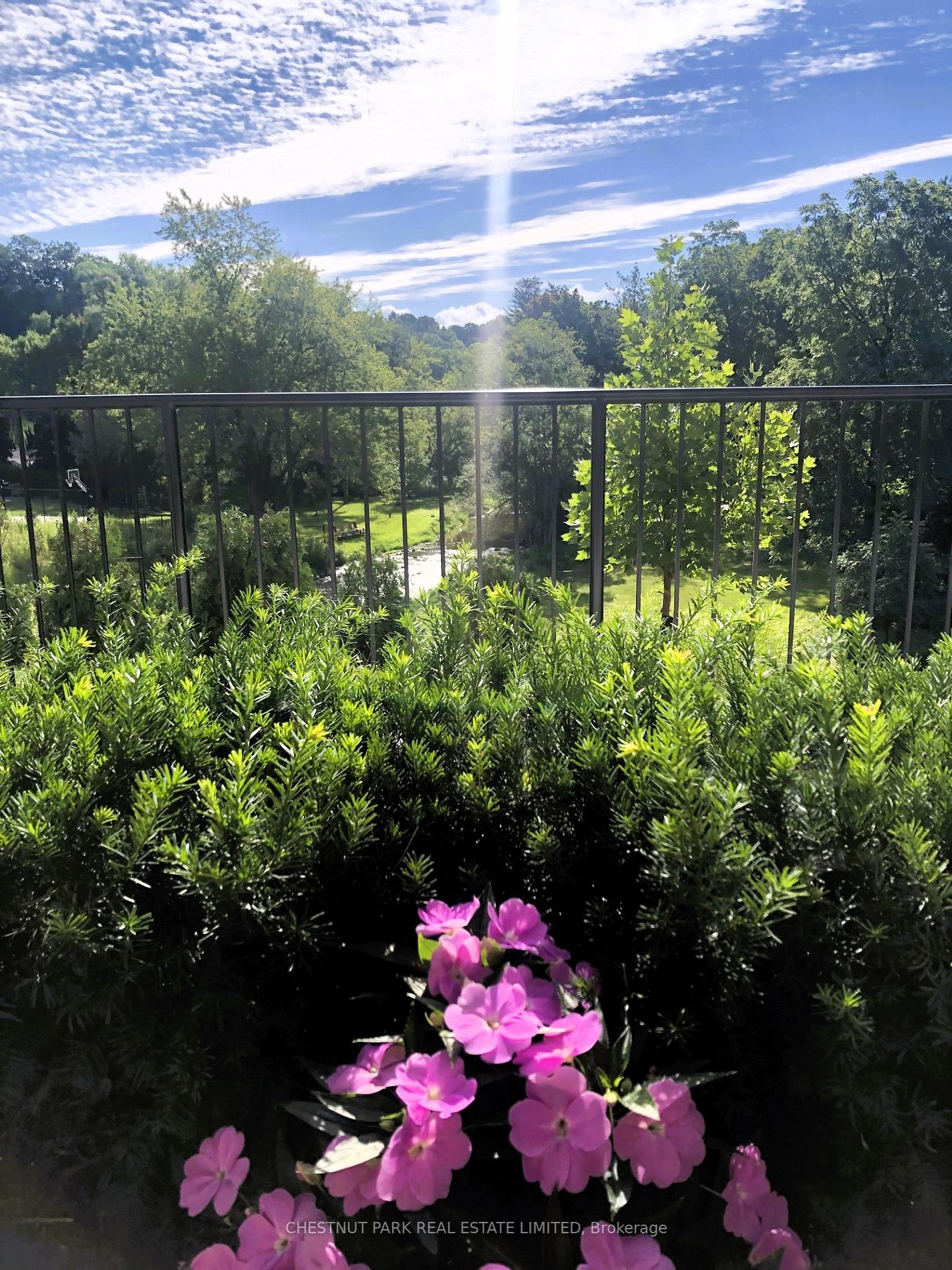 201 Pine Grove Rd, #417