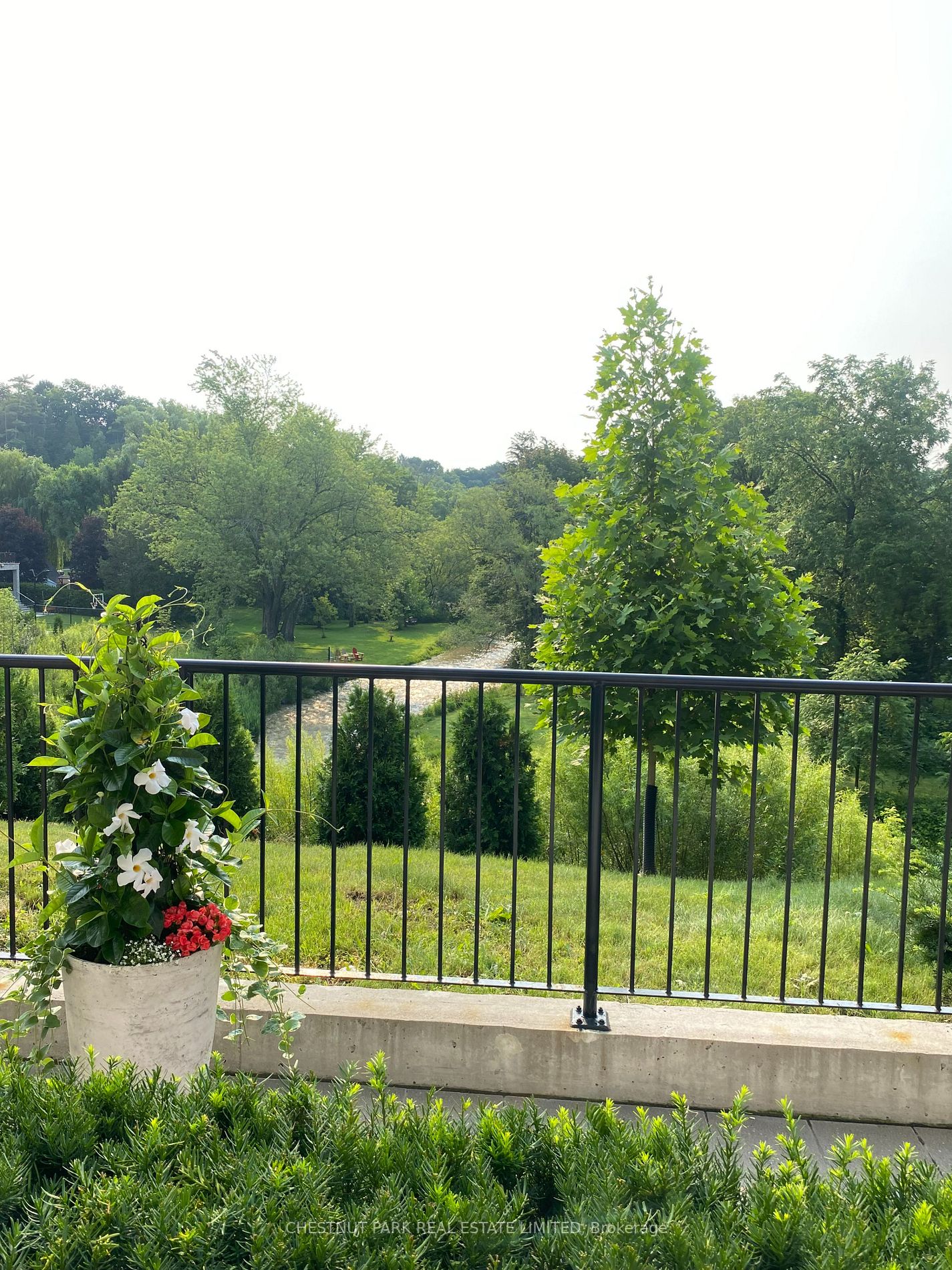 201 Pine Grove Rd, #417