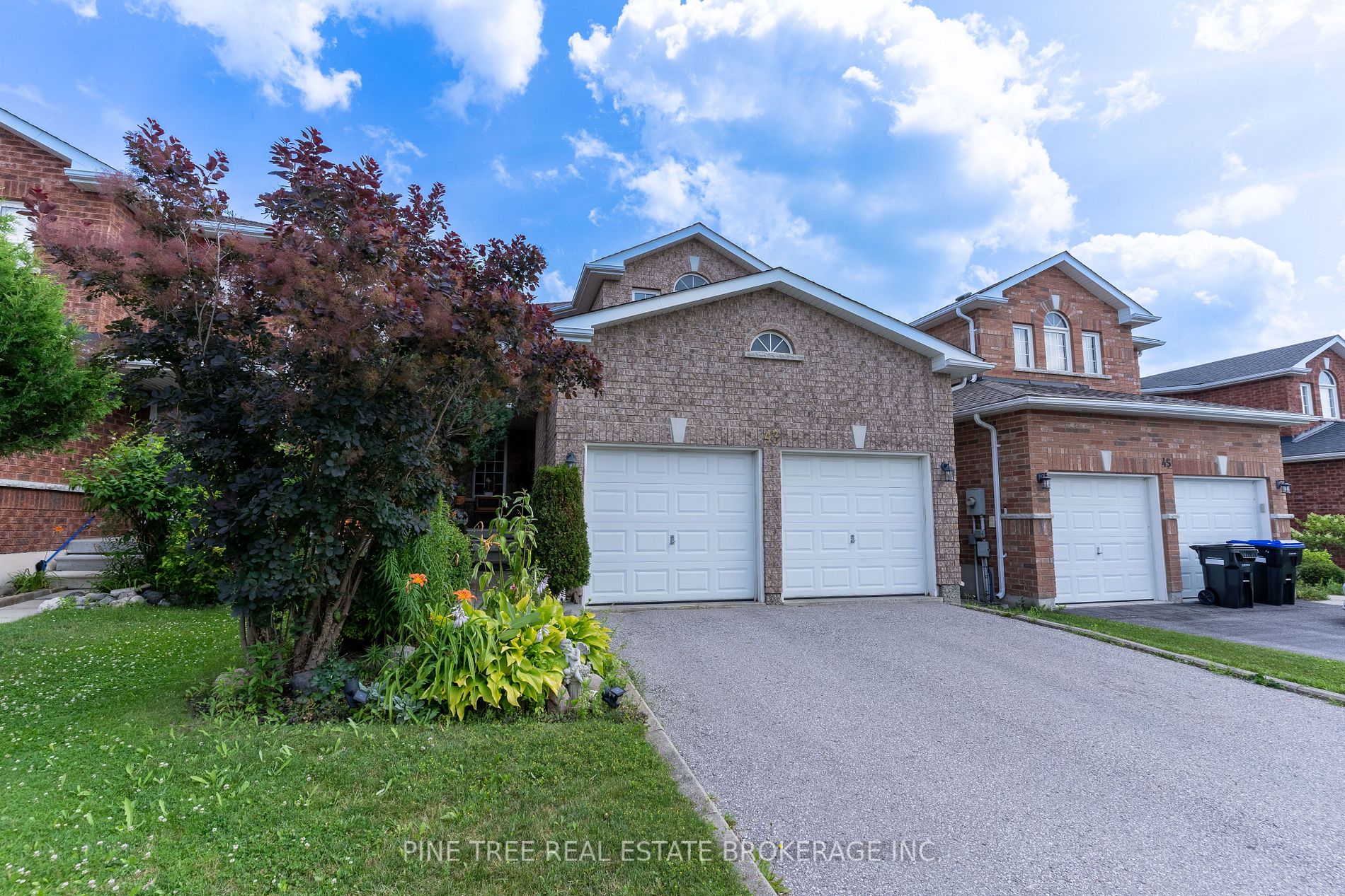 43 Buchanan Drive