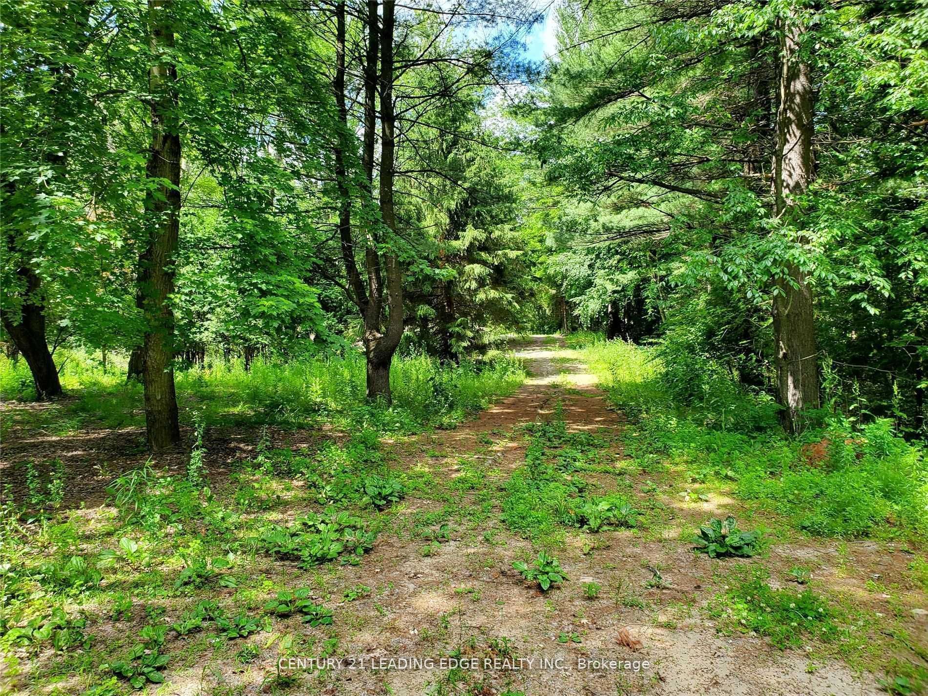 4035 Aurora Road, Stouffv Rd