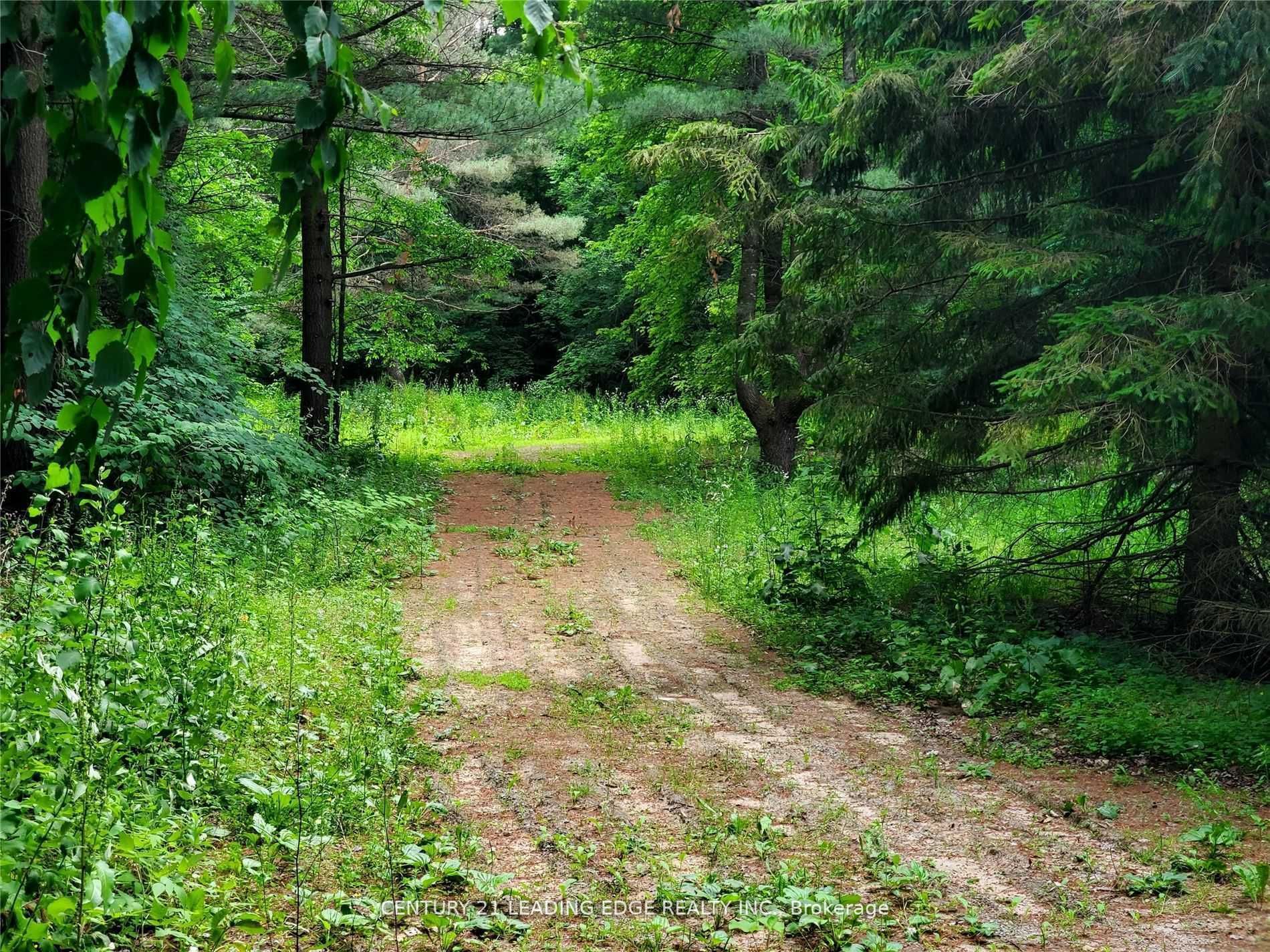 4035 Aurora Road, Stouffv Rd