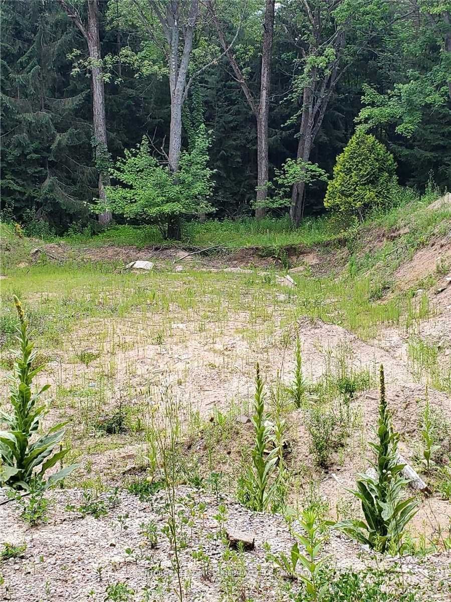 4035 Aurora Road, Stouffv Rd