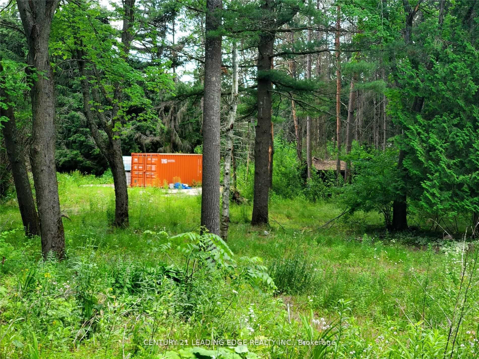 4035 Aurora Road, Stouffv Rd