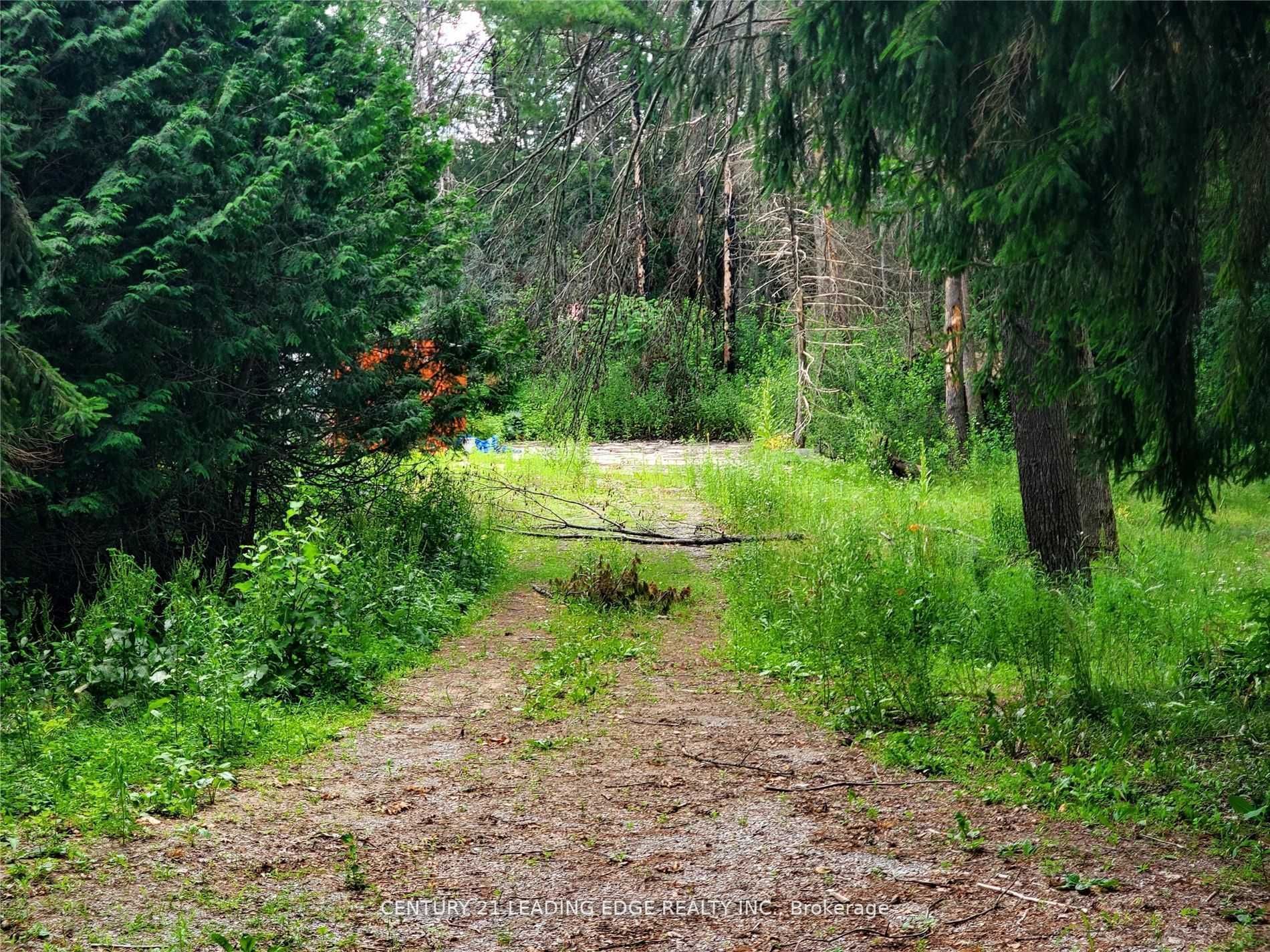 4035 Aurora Road, Stouffv Rd