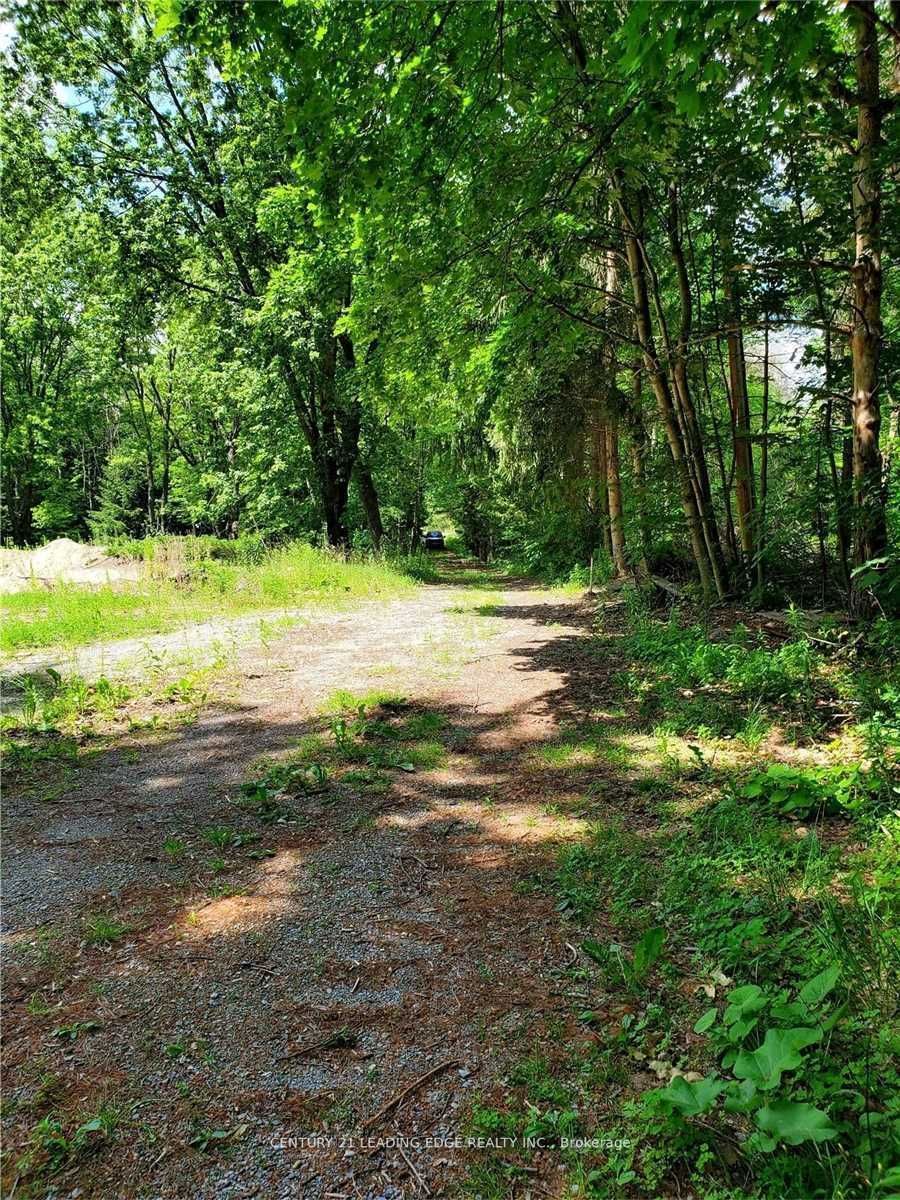 4035 Aurora Road, Stouffv Rd