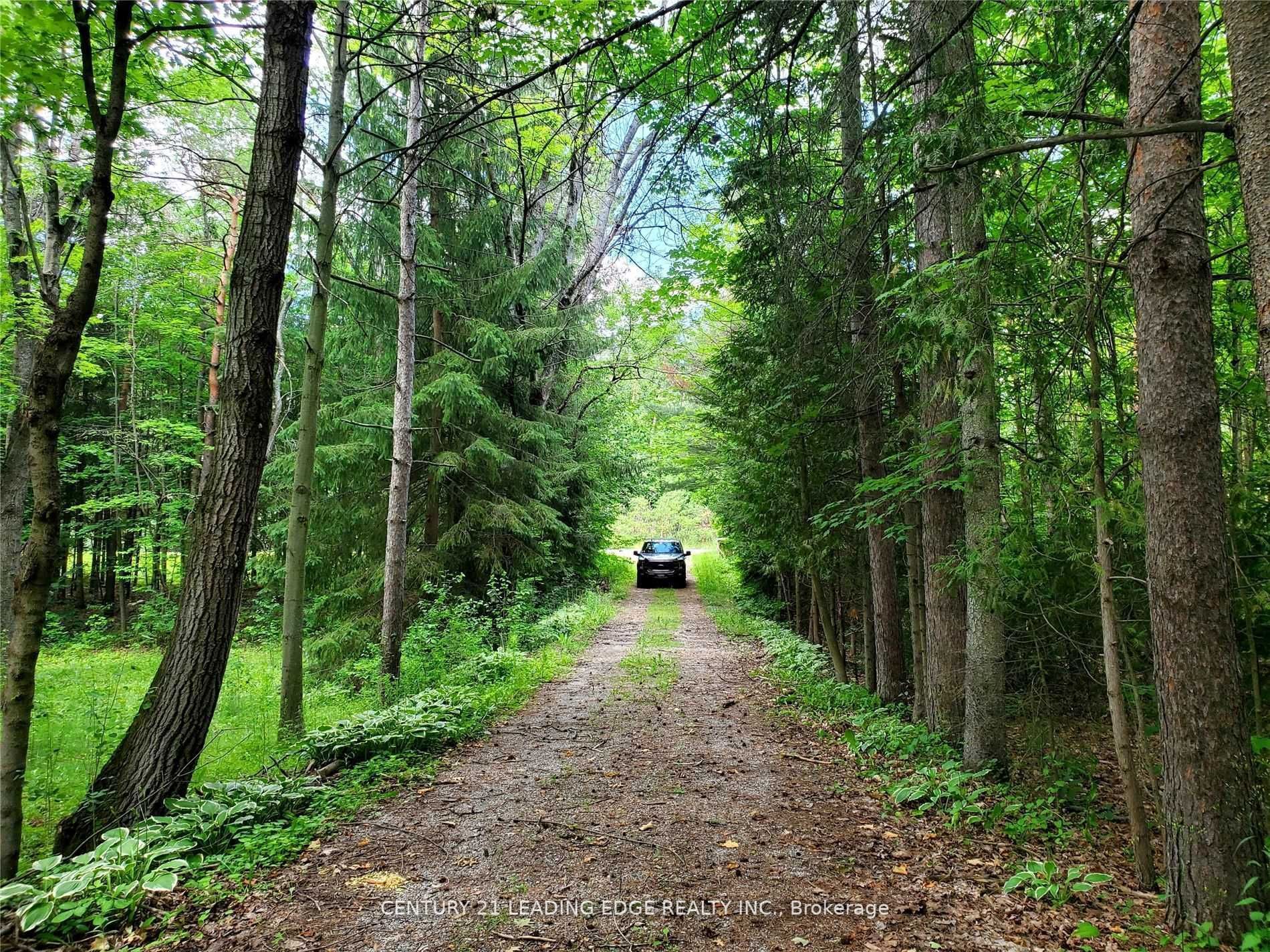4035 Aurora Road, Stouffv Rd