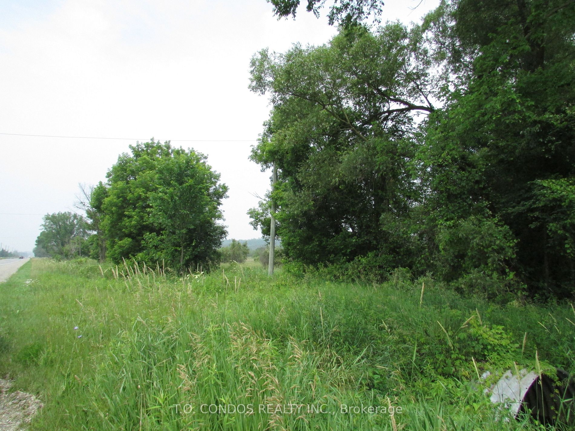 19633 Highway 48 Acre