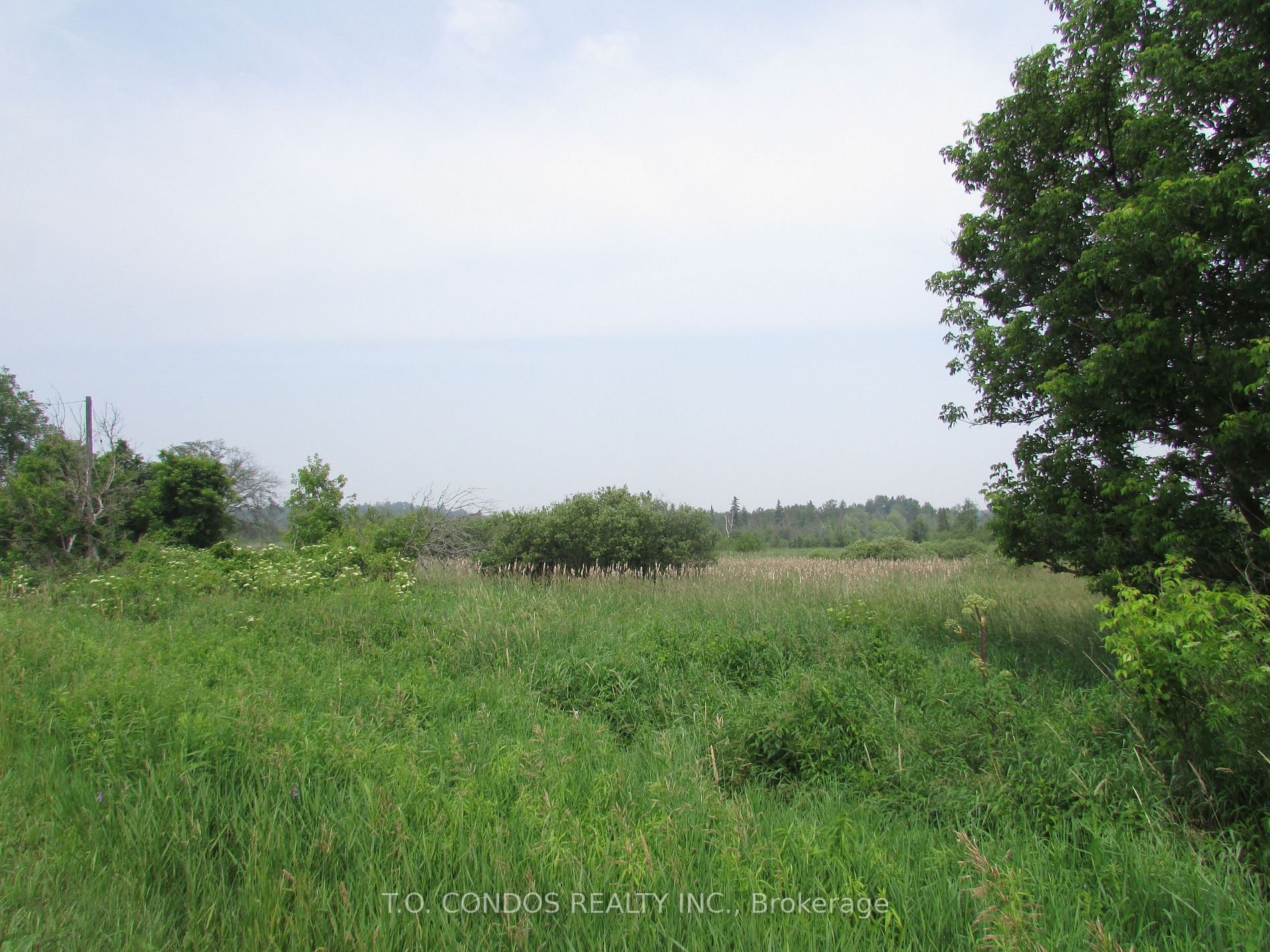 19633 Highway 48 Acre