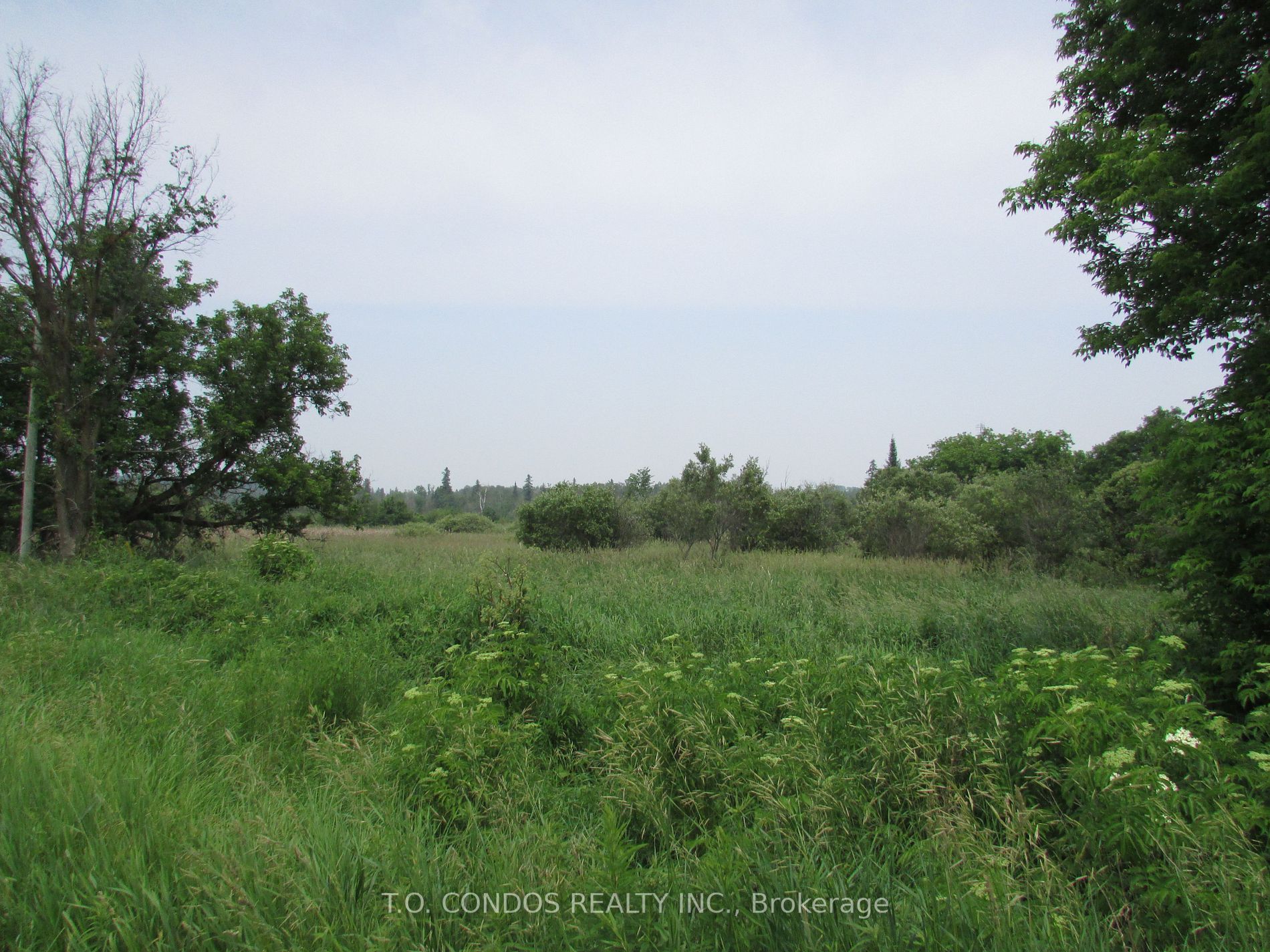19633 Highway 48 Acre