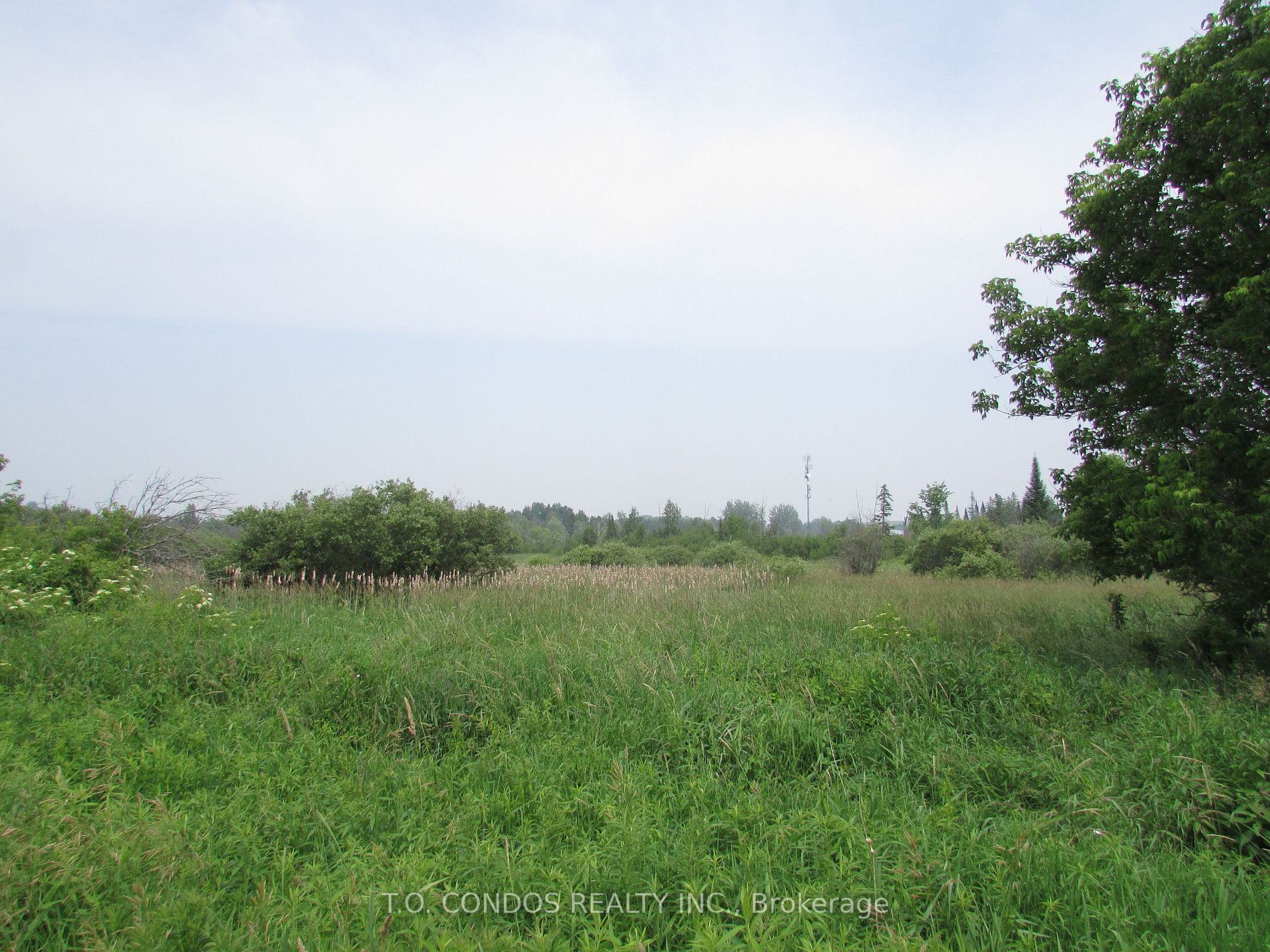 19633 Highway 48 Acre