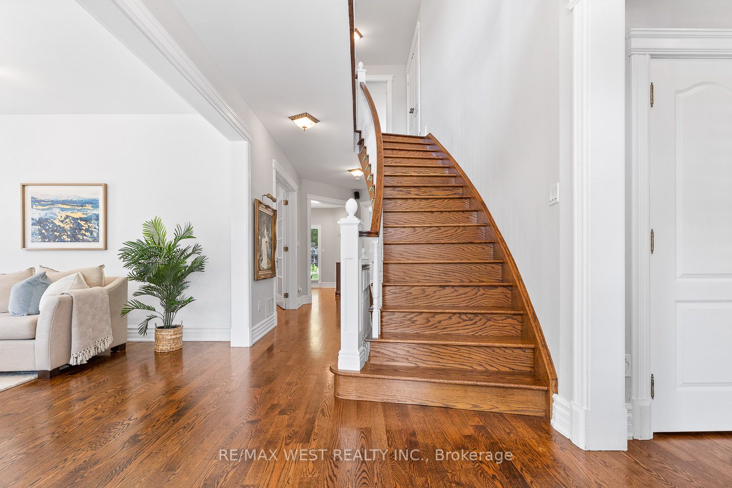 82 English Daisy Crt