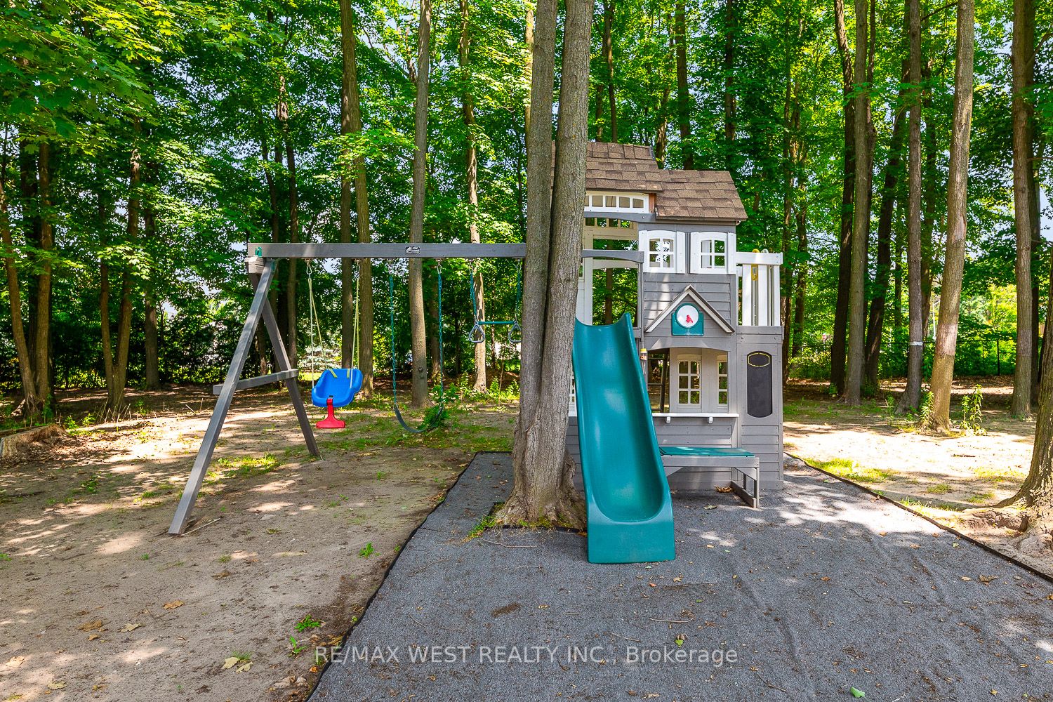 82 English Daisy Crt
