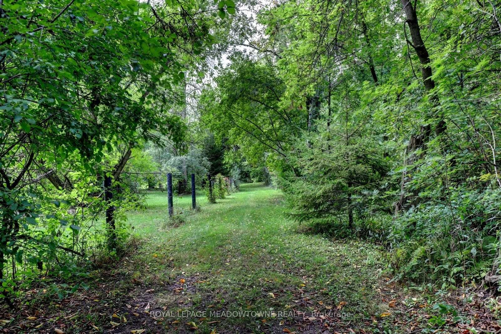 Listing N6729776 - Large Photo # 36