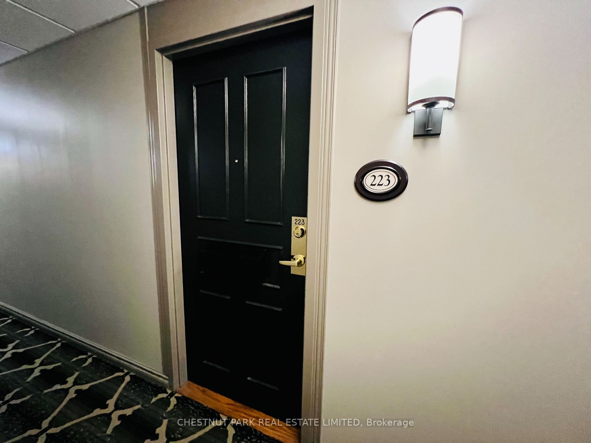 155 Main St N, #223