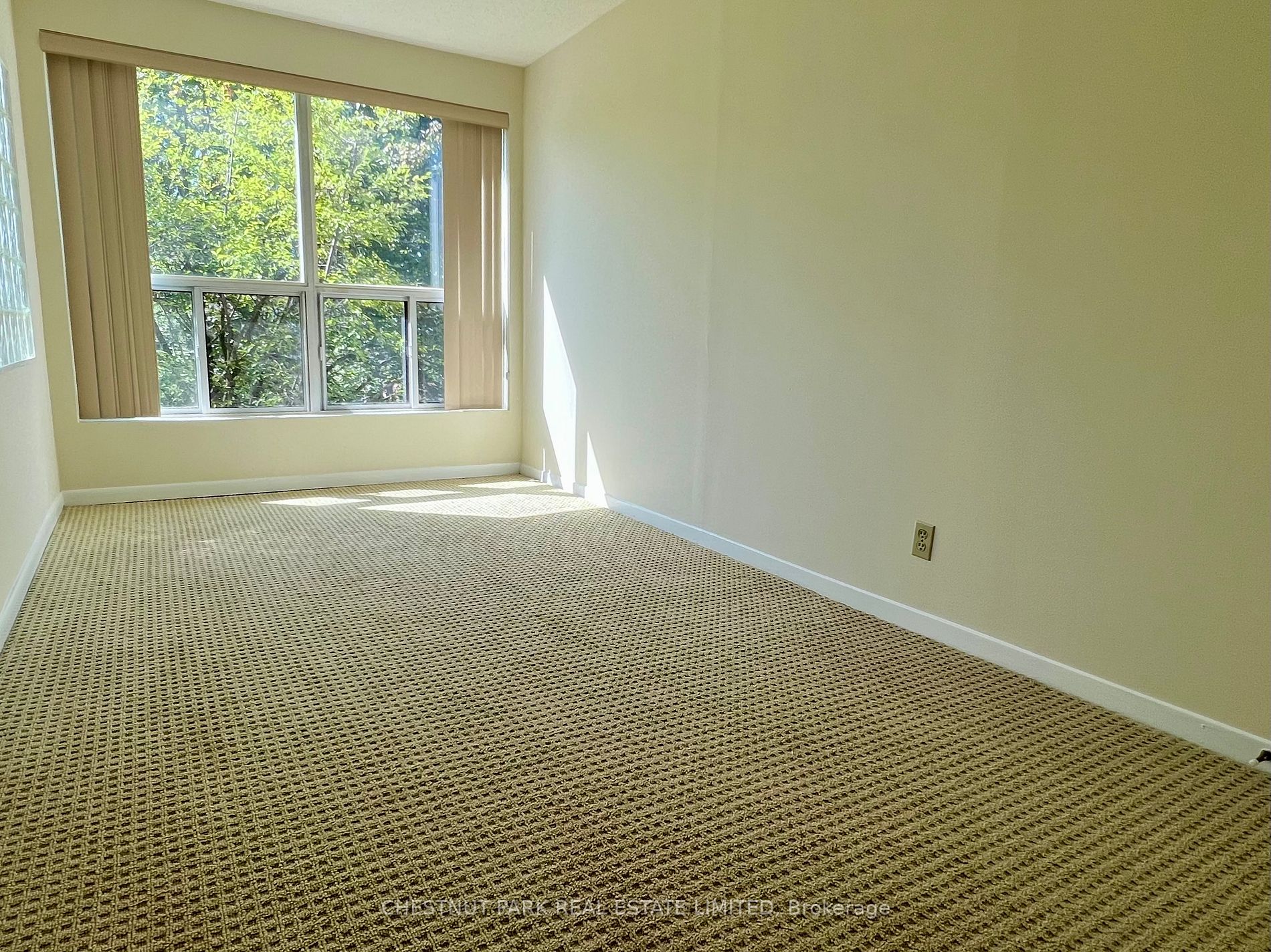 155 Main St N, #223