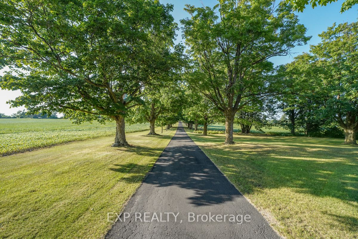 Listing N6736470 - Large Photo # 5