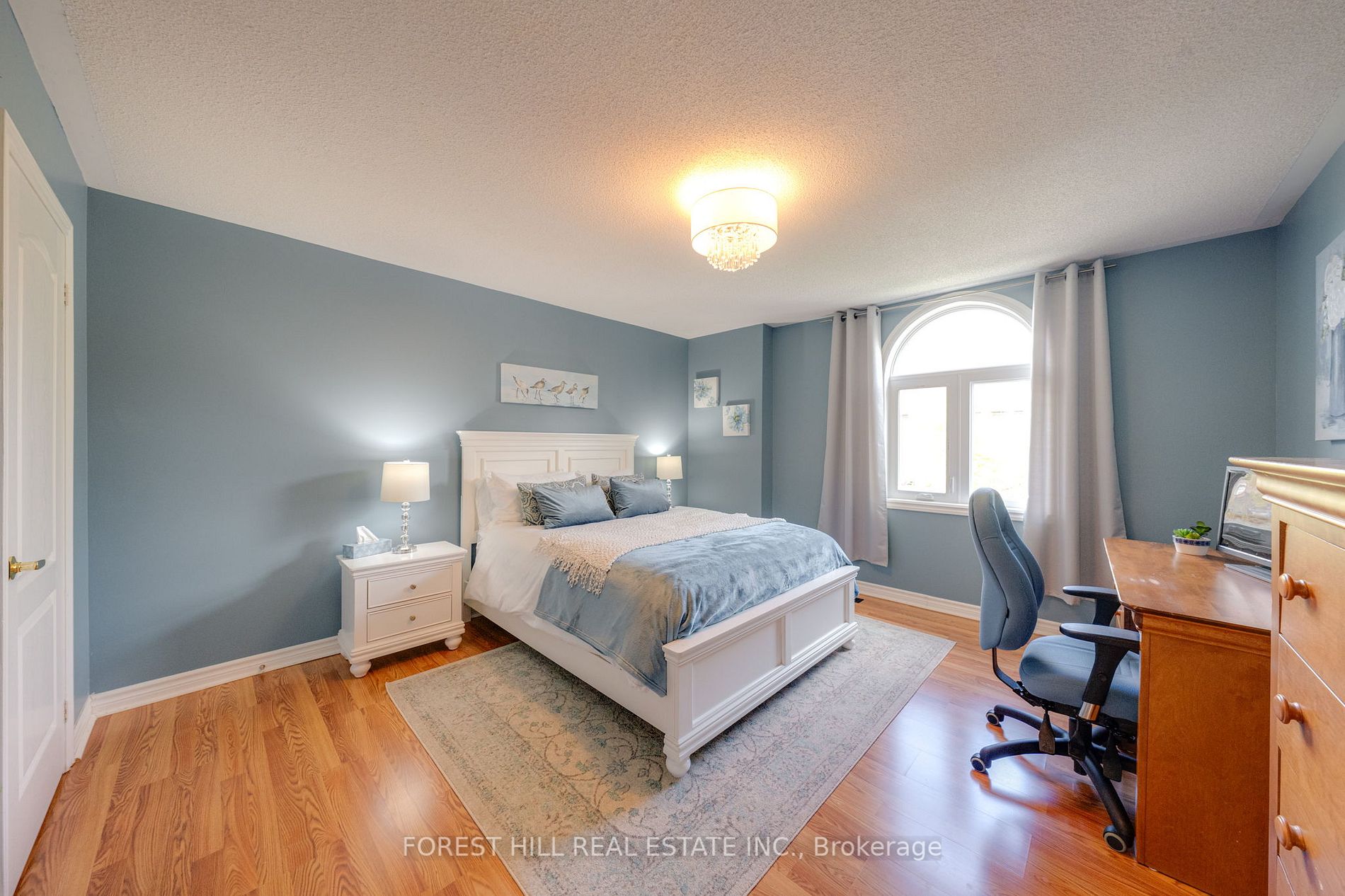 74 Cedar Springs Dr