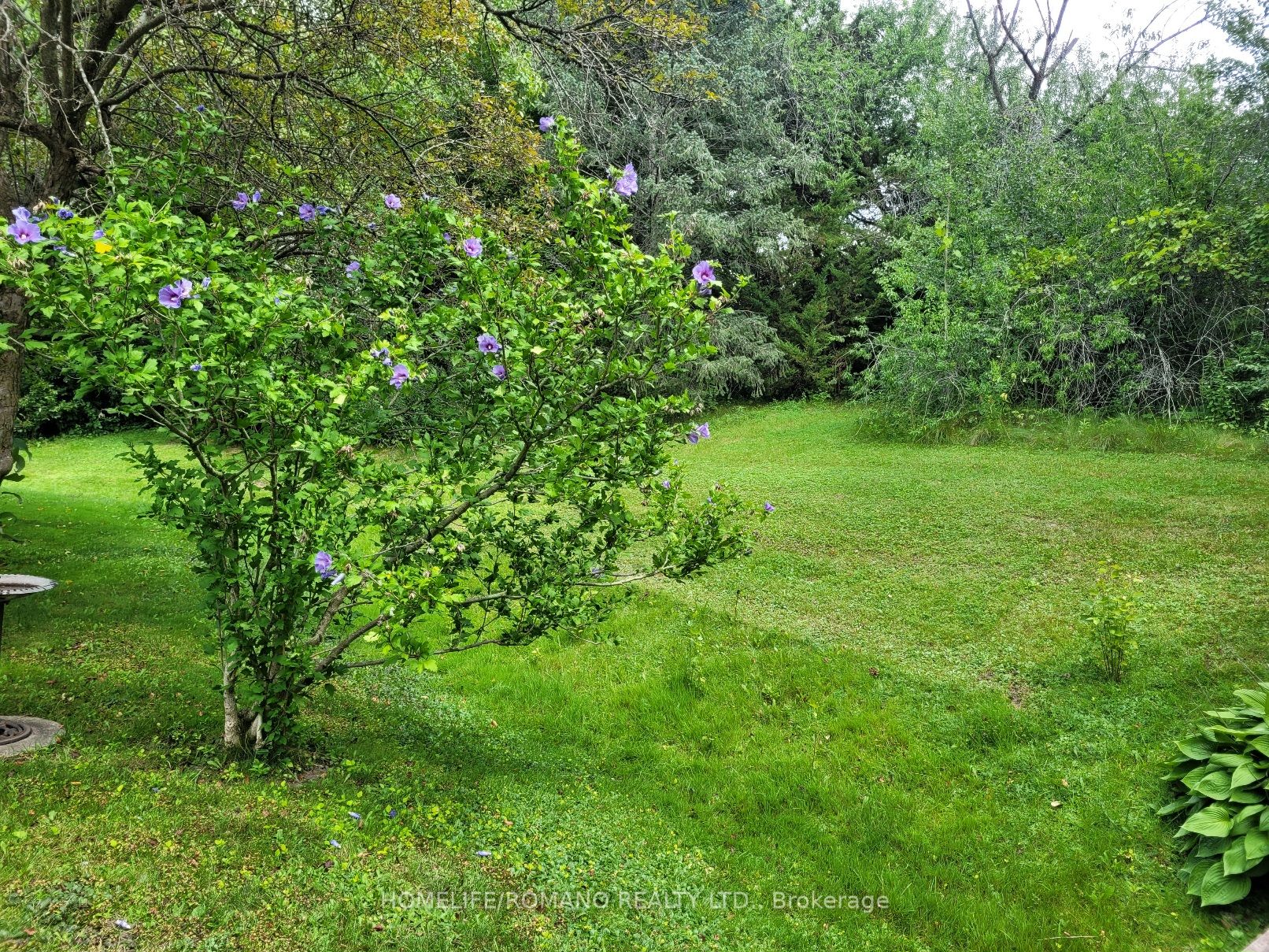 5 Pineview Crt