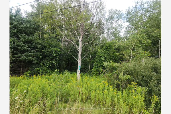 20223 Bathurst St, East Gwillimbury