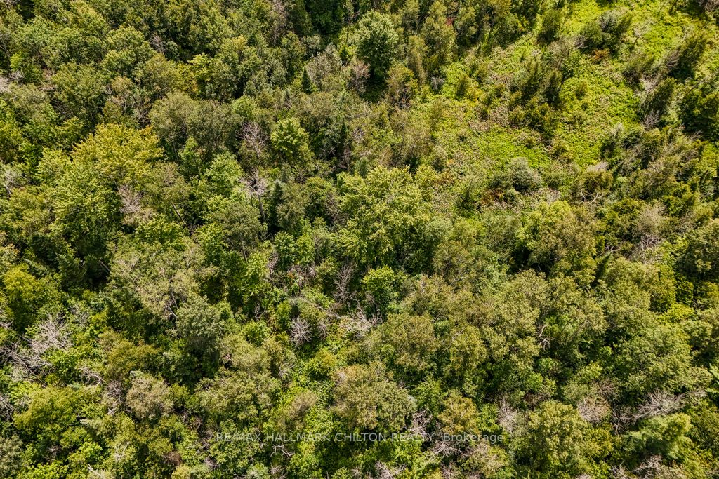 5349 30th Side Road
