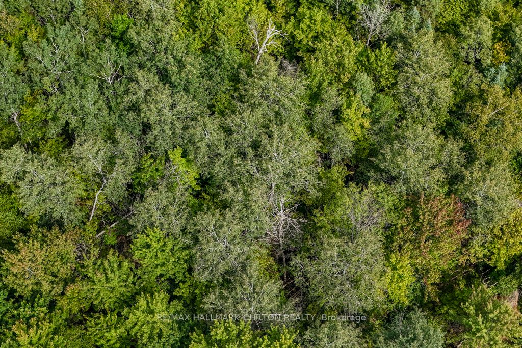 5349 30th Side Road
