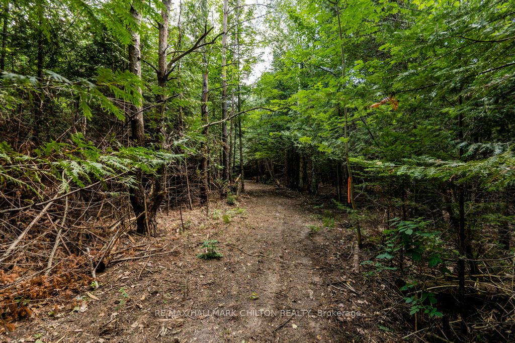5349 30th Side Road
