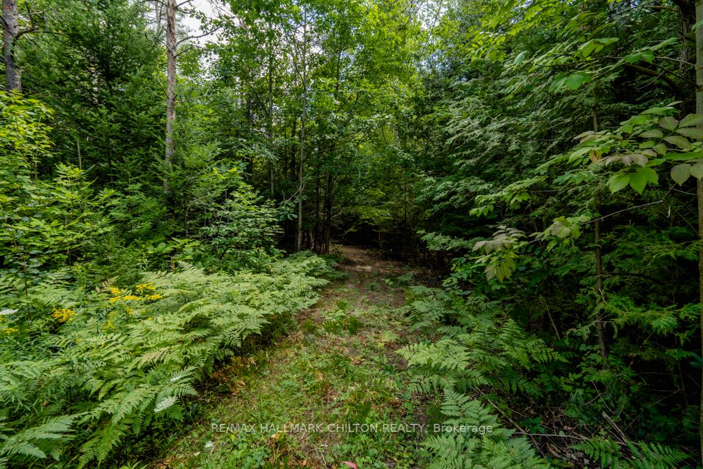 5349 30th Side Road