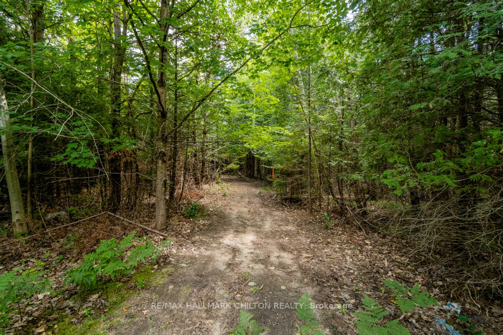 5349 30th Side Road