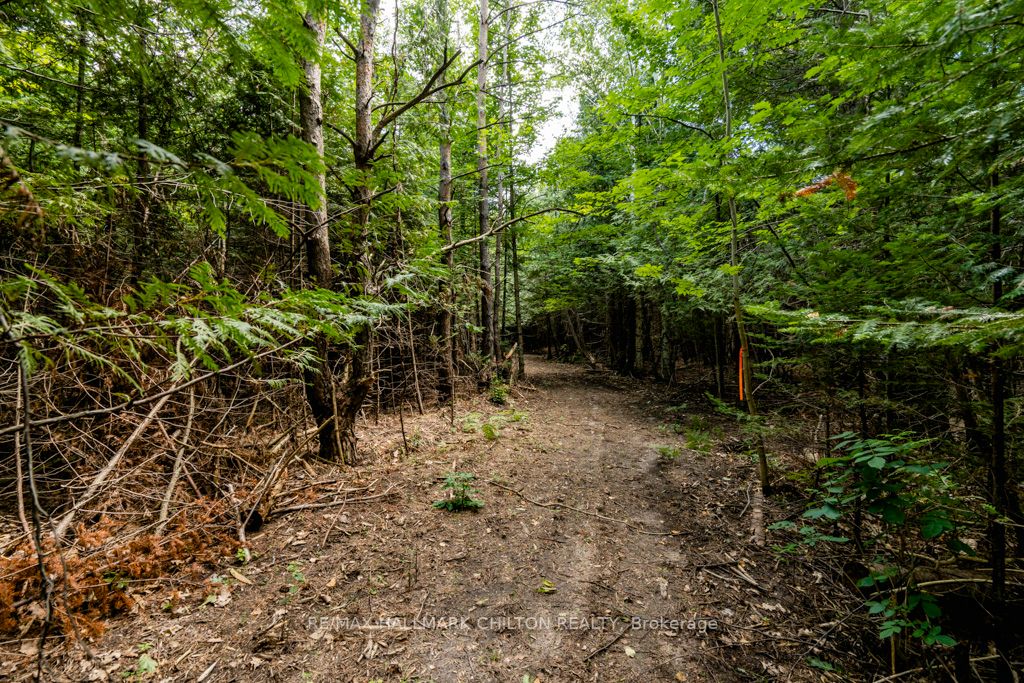 5349 30th Side Road