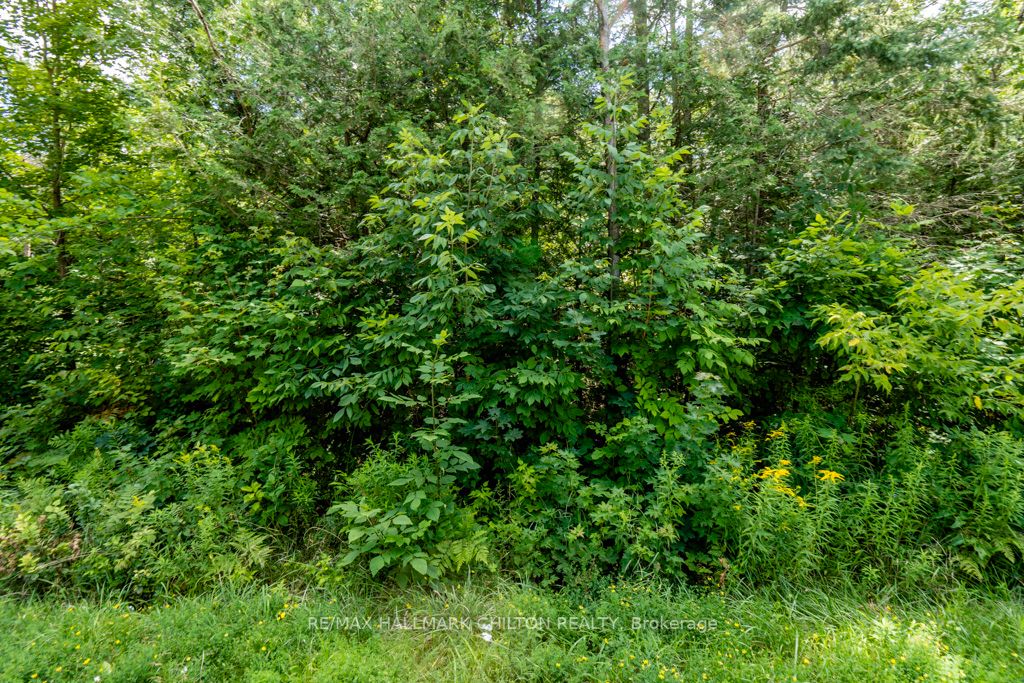 5349 30th Side Road