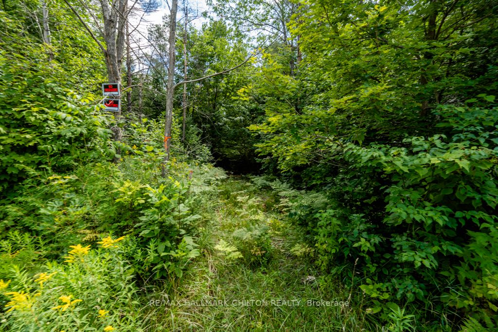 5349 30th Side Road