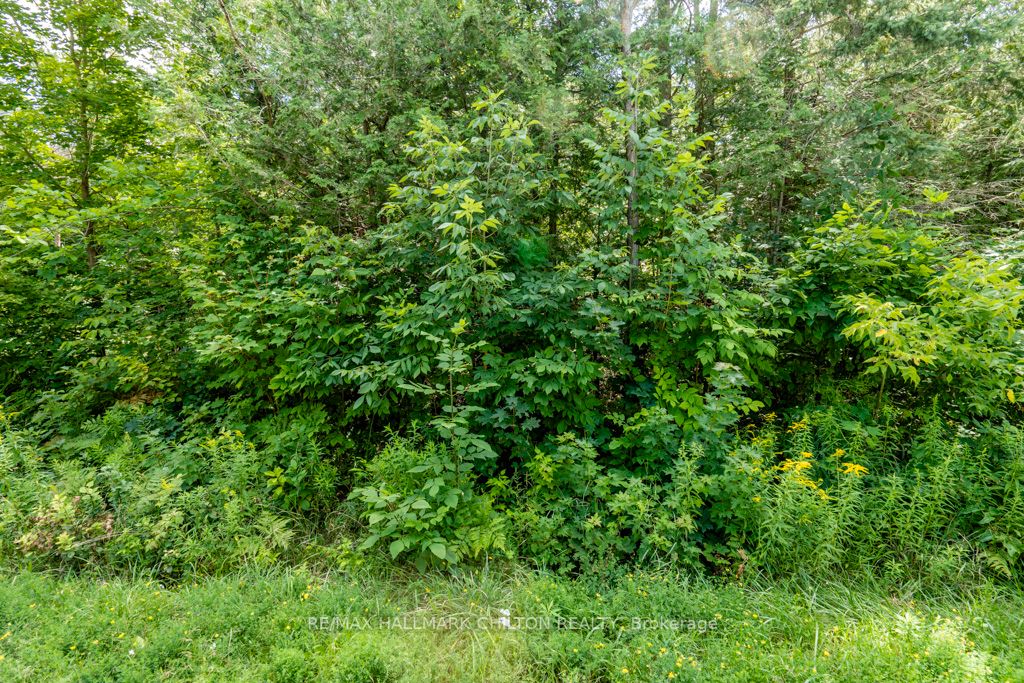 5349 30th Side Road